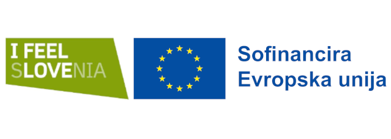 1705060812320_Logo_ESS_Sofinancira EU.png